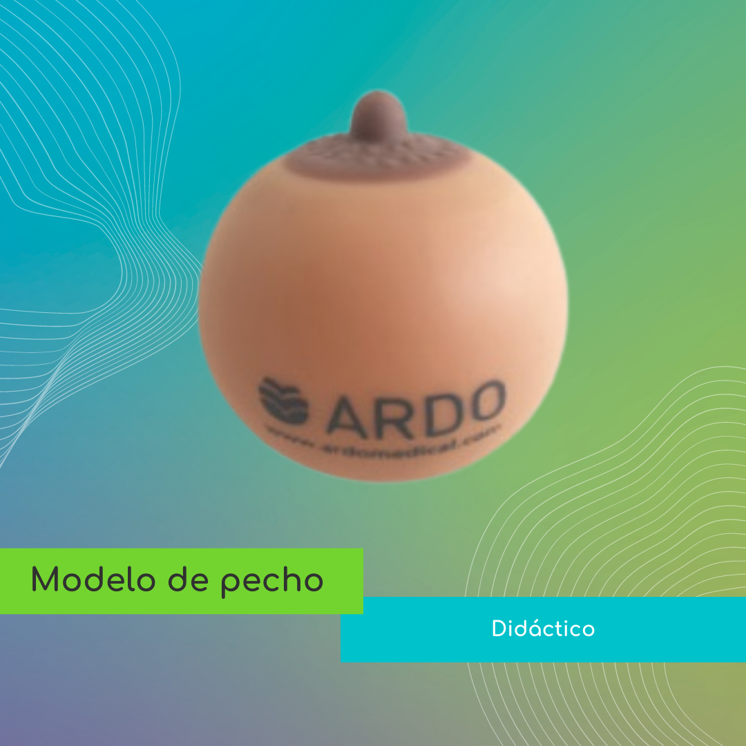 Modelo de pecho (o)